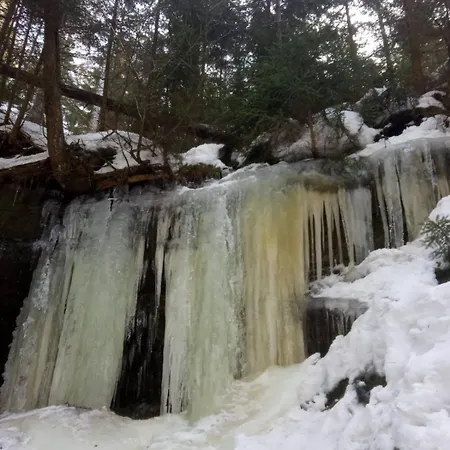 Waldruh S Terasou Jaluvci