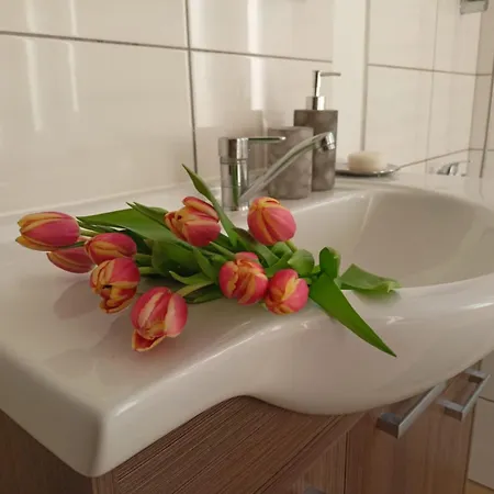Waldruh S Terasou Apartment *