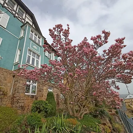 Waldruh S Terasou Apartment Jaluvci