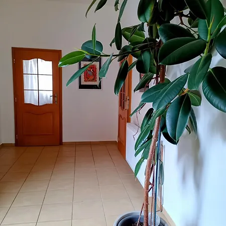 Waldruh S Terasou Apartment