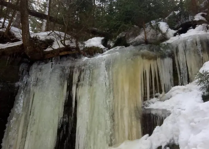 Waldruh S Terasou Jalŭvčí